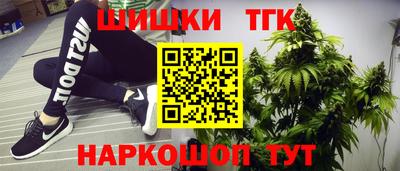 прущие грибы Кингисепп