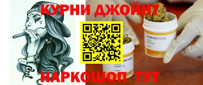 прущие грибы Кингисепп