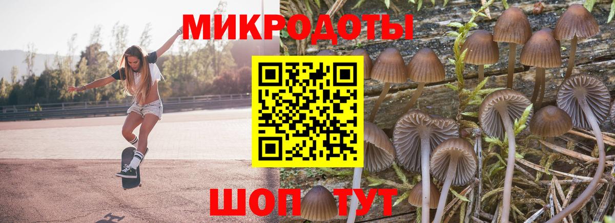 купить наркотик  Вход с VPN  Королёв  Псилоцибиновые грибы мицелий 
